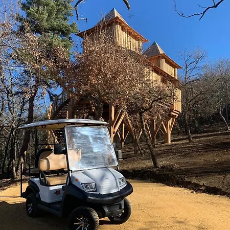 Chateau Dans Les Arbres Avec Privatif- Messilhac