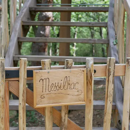 Chateau Dans Les Arbres Avec Privatif- Messilhac * Vieille-Brioude